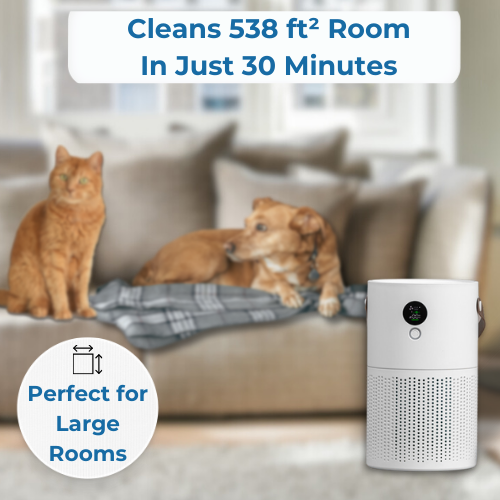 Cleaner Air Purifier HEPA 3 Stage Filter Large Room Air