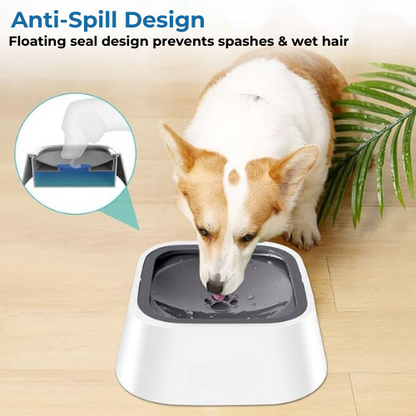 Zero Spill Water Bowl