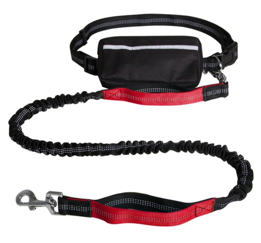 Pawtins™ Hands-Free Leash