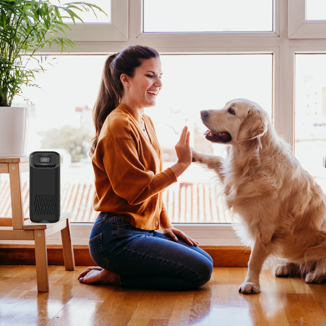 https://pawtins.com/cdn/shop/files/Untitled_Amazon_Product_Image_11.png?v=1717039122&width=1500 Pet Air Purifier 2.0